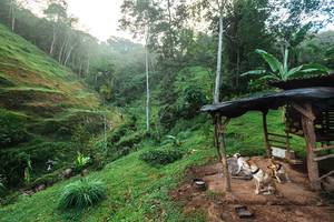 BIB: 
                            <button type="button" onclick="openModal(21899193)" class="btn btn-primary btn-sm float-right btn-popup" data-toggle="modal" data-target=".modal-high-quality">
                        <i class="fas fa-shopping-cart"></i> Add to Cart
                    </button>
                                            <button type="button" onclick="isThisMe(21899193, true)" class="btn btn-success btn-sm float-right btn-popup btn-isme hidden" data-toggle="tooltip" data-placement="bottom" title="นี่คือรูปของคุณใช่ไหม คลิกที่นี่เพื่อเอาเข้าอัลบั้ม">
                        <i class="fas fa-plus"></i> Add to album
                    </button>
                    <button type="button" onclick="isThisMe(21899193, false)" class="btn btn-warning btn-sm float-right btn-popup btn-isnotme hidden">
                        <i class="fas fa-ban"></i> Remove from album
                    </button>